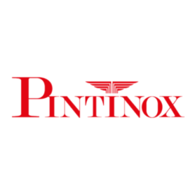 logo_pintinox@2x